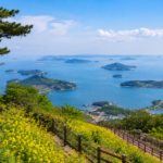 8월엔 전라남도 여행